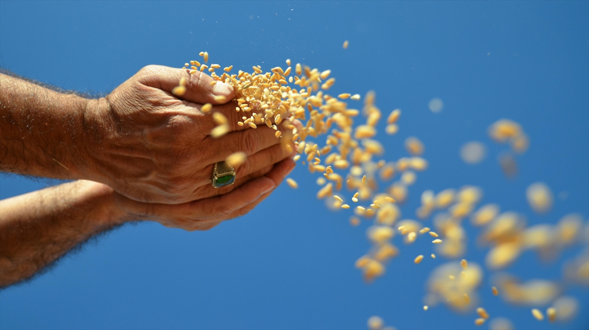 Türib'de Hedef Yıl Sonunda 58 Milyar Liralık Toplam Hacme Ulaşmak