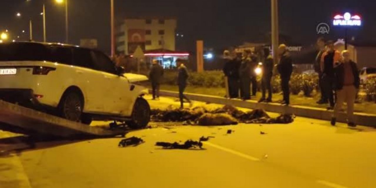 Hatay'da cip sürüye çarptı: 58 hayvan telef oldu