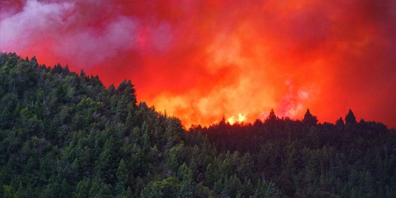 Arjantin'de orman yangınları: 500 bin hektardan fazla alan zarar gördü