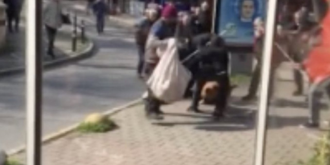 İstanbul'un göbeğinde pitbull dehşeti: Sahibi bıraktı 3 kişiye saldırdı