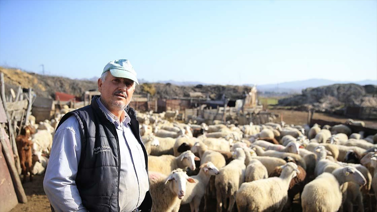 Gübre Ve Yem Fiyatlarındaki İndirim Üreticileri Sevindirdi