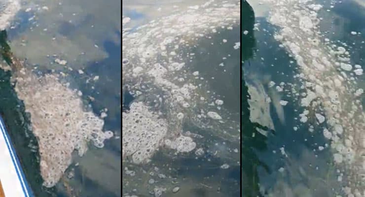 Müsilaj Çanakkale Boğazı’nda kendini hatırlattı