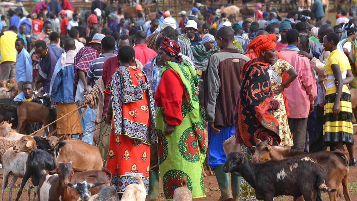 Masailer Topraklarında Kalmak İçin Hükümete Karşı 2,3 Milyon İmza Topladı
