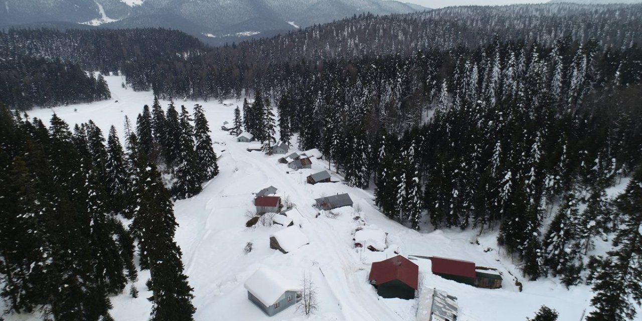 Bursalı esnaf, aradığı huzuru yayla yaşamında buldu