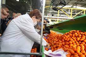 MERAL AKŞENER, MERSİN'DE KADIN İŞÇİLERLE BİRLİKTE MANDALİNA PAKETLEDİ