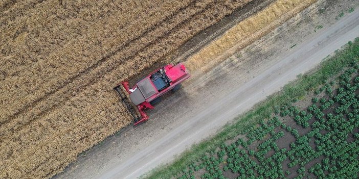 Rusya-ukrayna Gerginliği Nedeniyle Türkiye'nin Buğday Arzında Sıkıntı Beklenmiyor