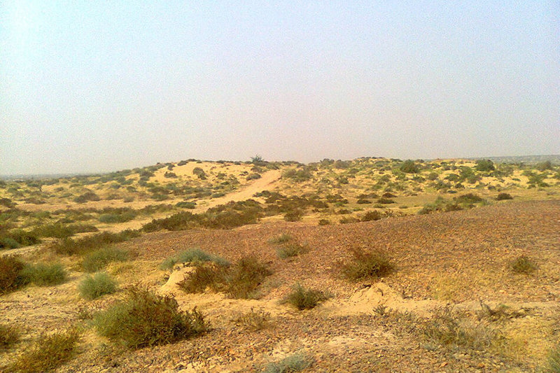 İndus Uygarlığında Karmaşık Kentsel Süreçler Olduğu Keşfedildi