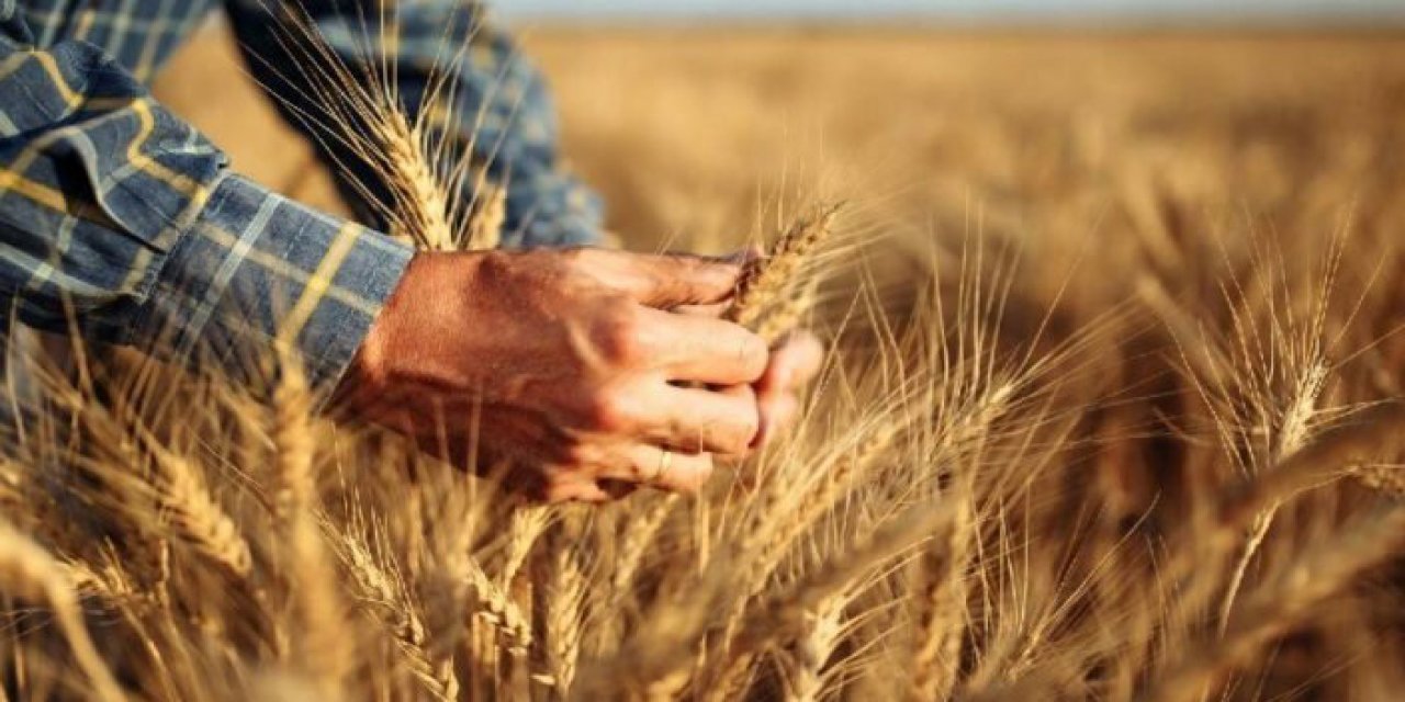 Listede Türkiye de var... Gıda krizi kapıda