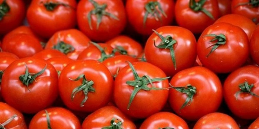 Ruslar Nasıl Üretiyorsunuz Bize Raporlayın Yoksa Hiç Almayız