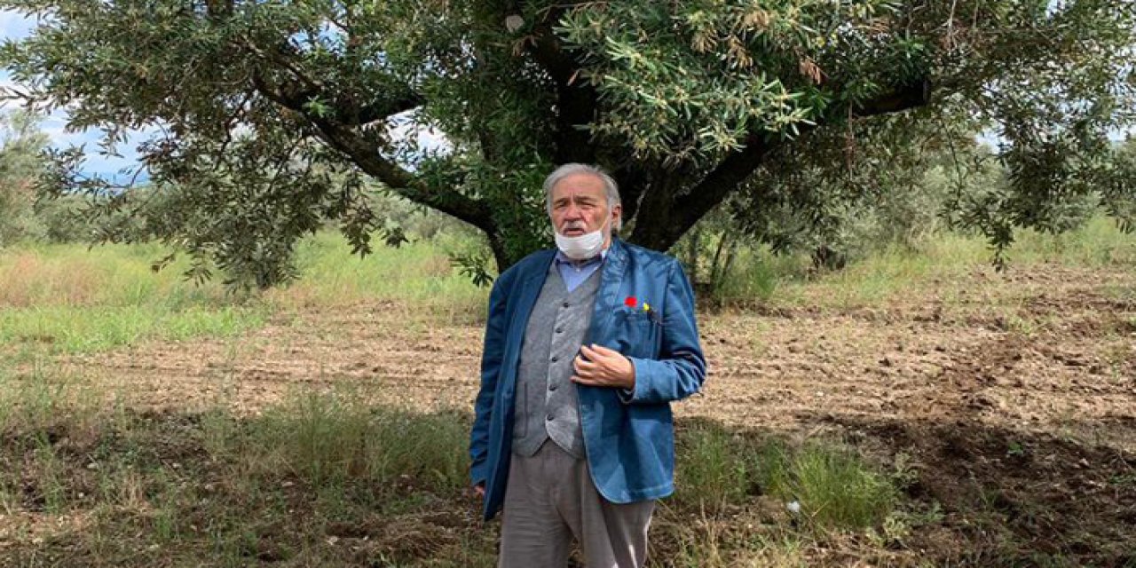 İlber Ortaylı'dan zeytinlikleri koruma altına alın çağrısı