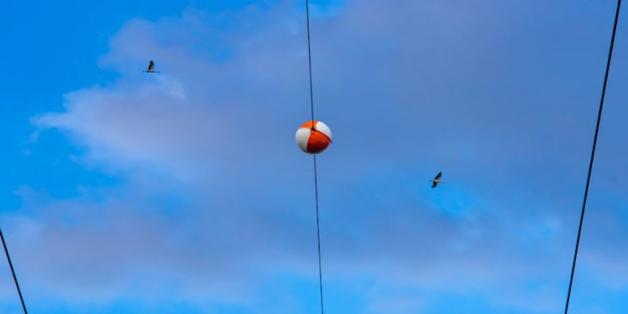 Elektrik Tellerindeki Kırmızı Beyaz Toplar Ne İşe Yarıyor?