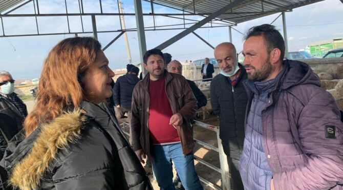 Çiftçi, CHP’li vekile dert yandı: Böyle maliyet olur mu!