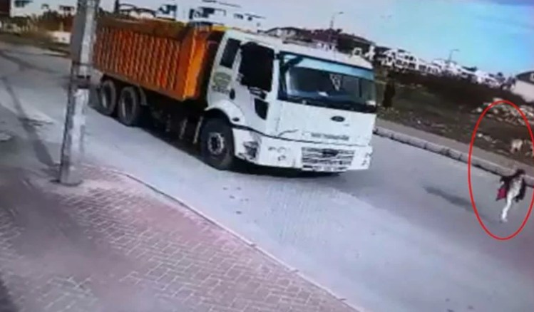 Köpekten kaçarken kamyonun çarptığı Mahra'dan kötü haber