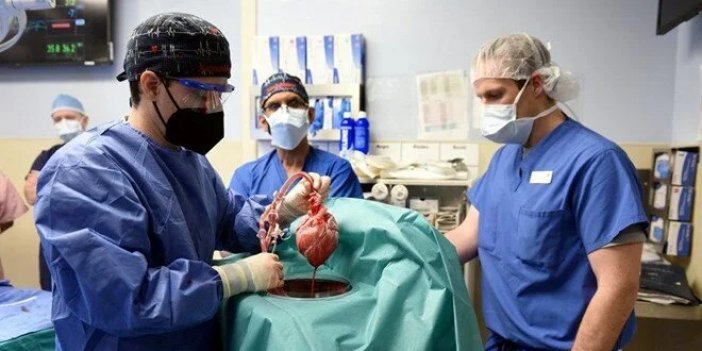 Domuzdan Kalp Nakli Olan Hasta İçin Yeni Gelişme!