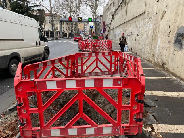 AK Parti'den İBB'ye zehirzemberek ağaç tepkisi: Bir gecede kesip gittiler