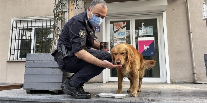 Kar Yağışında Sığındığı Karakol Yeni Yuvası Oldu