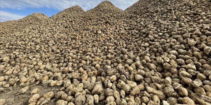 Konya Şeker, Pancar Taban Fiyatında Artışa Gitti