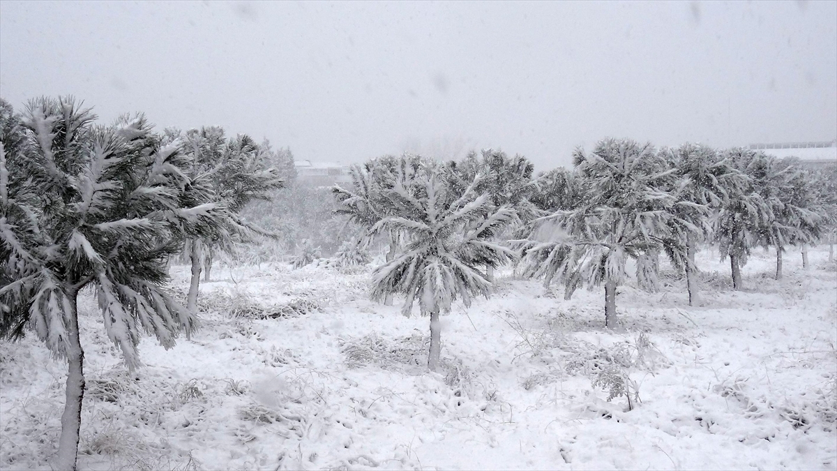Doğu Ve Güneydoğu Anadolu'da Kuvvetli Kar, Ege İle Akdeniz'de Zirai Don Bekleniyor