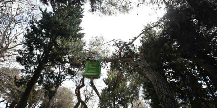 Fırtına Ve Kardan Zarar Gören Ağaçlar İhtiyaç Sahiplerini Isıtıyor