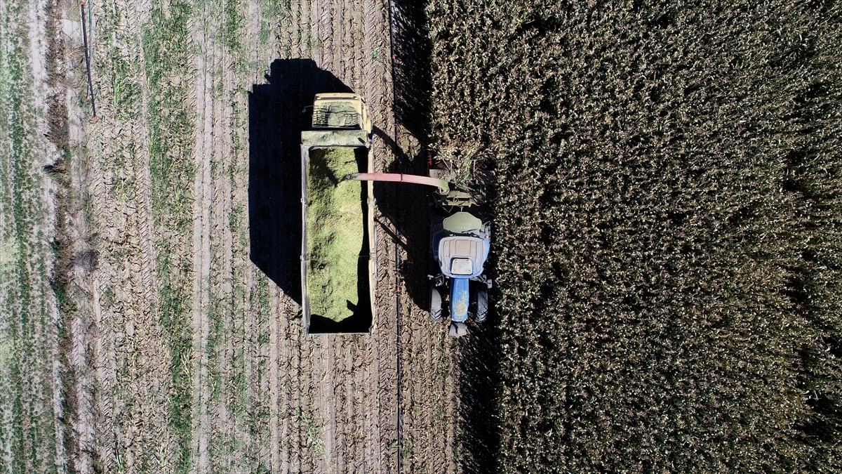 Rusya-Ukrayna Savaşı Tarıma 'Pozitif Ayrımcılık' Adımlarını Hızlandırdı