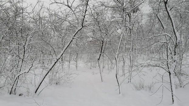 İstanbul’da bir ilçe kara teslim oldu!