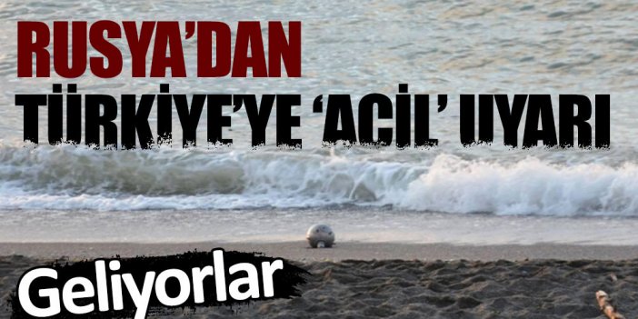 Rusya'dan Türkiye'ye acil uyarı