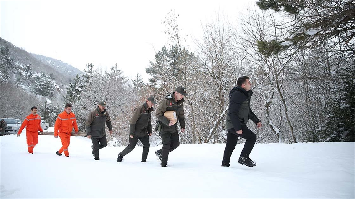 Kar Çamur Dinlemeyen Ormancılar 24 Saat 'Ağaç Nöbeti'nde