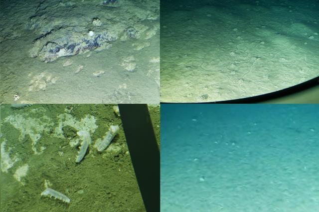 Kimsenin inemediği çukura inen bilim insanları ilk kez konuştu