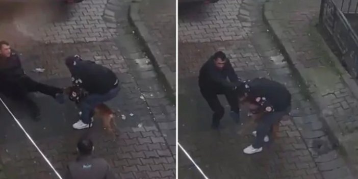 Ağızlıksız Gezdirilen Pitbul ve Sahibi Dehşet Saçtı