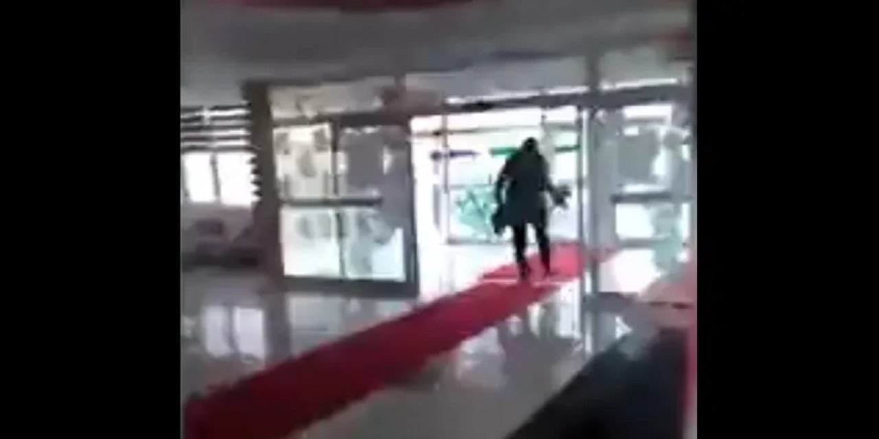 Kediye tekme atan lise müdürü hakkında soruşturma açıldı