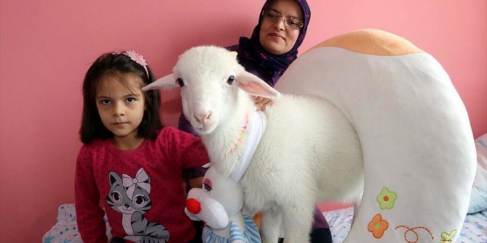 Hastalanan Kuzuyu Evde Özenli Bakımla İyileştirdiler