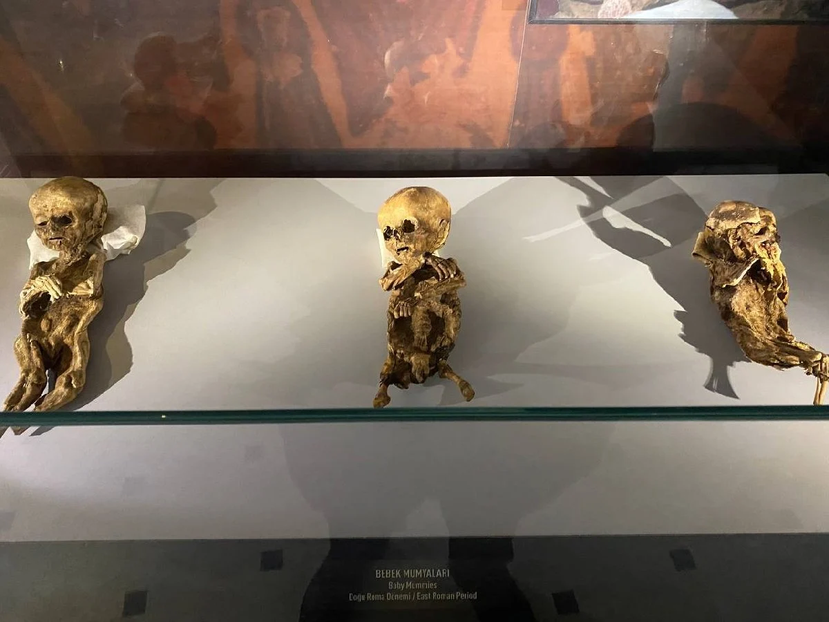 Mısır değil Türkiye! Görenler şaşırıyor