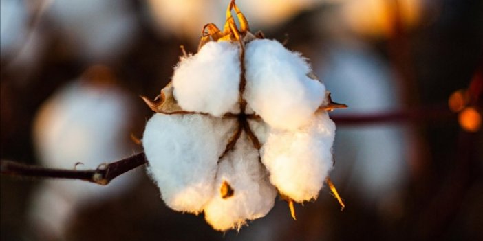 Emtia Piyasasında Jeopolitik Risklerin Etkisi Sürüyor