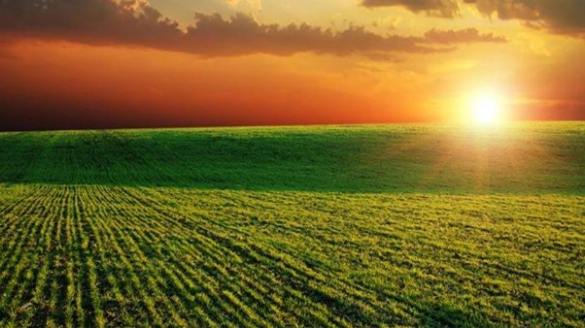 Hayali tarım projesi skandalı Meclis’te, ‘Sudan kimin eseri?’