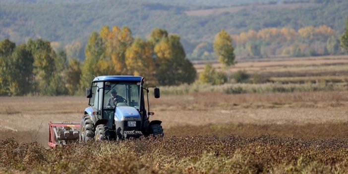 Tohumda Kdv'nin Yüzde 1'e Düşürülmesinin Üretimi Artırması Bekleniyor