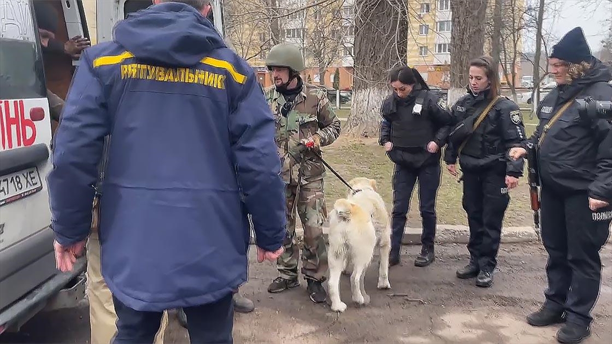 Ukraynalılar, Türkiye'nin Savaşın Sona Ermesi İçin Gösterdiği Çabaya Minnettar