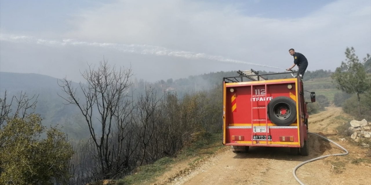 Muğla'da Çıkan Orman Yangını Söndürüldü