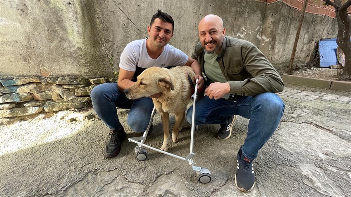 Engelli 'Can Dostları' El Becerisiyle Yürütmeye Çalışıyor