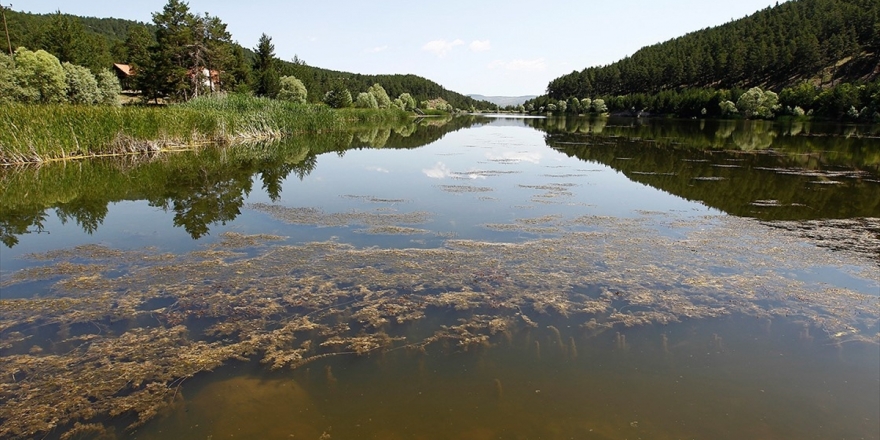 Çamkoru 'Engelsiz Tabiat Parkı' Olacak