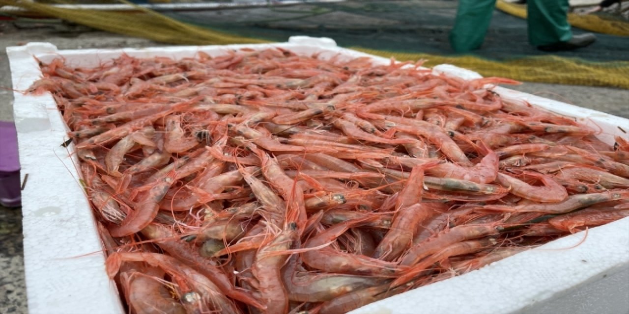 Tekirdağ'daki Küçük Tekne Balıkçıları Kıyıya Karidesle Dönüyor