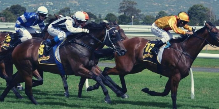 Dört Bakan Yardımcısının At Yarışları Kurulundan Maaş Aldığı Ortaya Çıktı