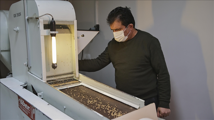 Gen bankasındaki tohumlar tarımda yerli ve milli üretimin güvencesi