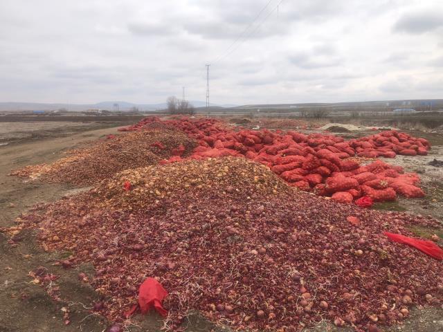 Çöpe dökülen sebze videolarına dair açıklama bakanlıktan geldi