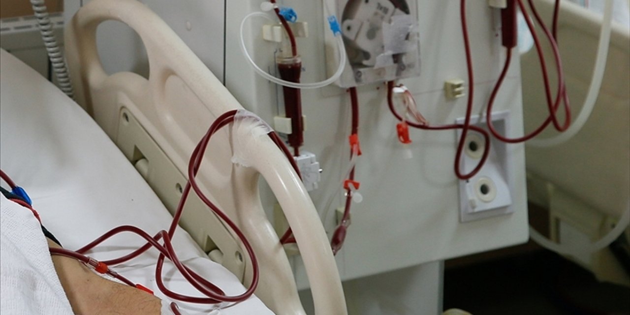 Böbrek Hastalığı Olanlarda Kanser Görülme Riskinin Daha Yüksek Olduğu Tespit Edildi