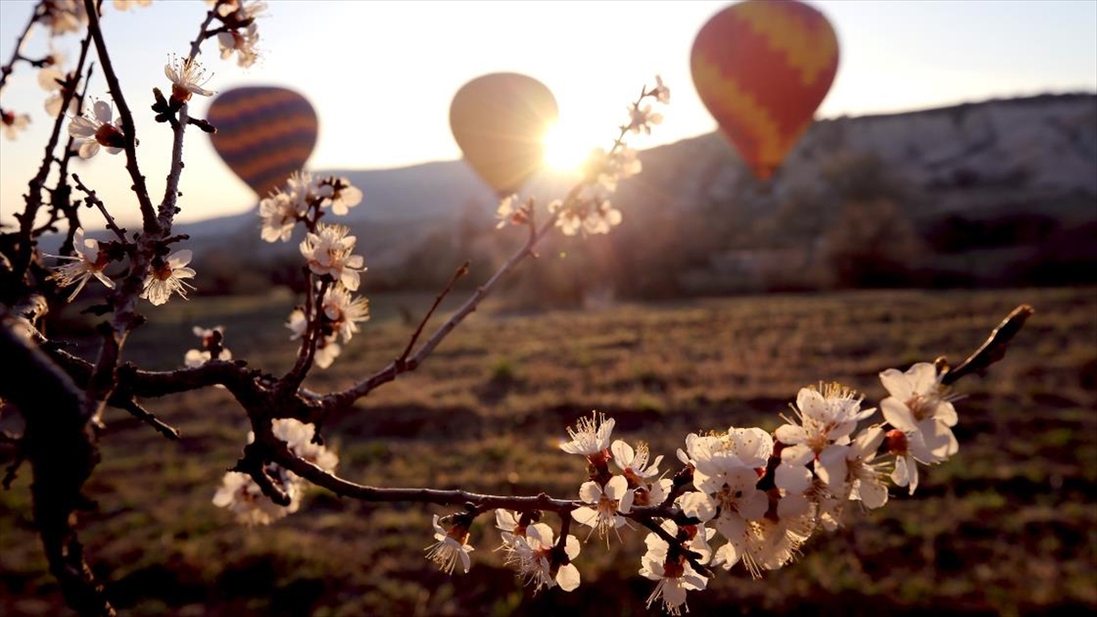 İlkbaharda Açan Çiçekler Kapadokya'ya Renk Kattı