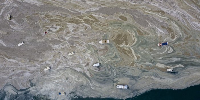 Meclis'ten Müsilaja Karşı 157 Çözüm Önerisi