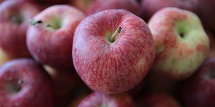 Yaş Meyve Sebze İhracatı Yılın İlk Çeyreğinde Ülkeye 762 Milyon Dolar Getirdi