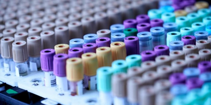 Japonya'da 1 Kişide Gizemli Hepatit Vakası Saptandı