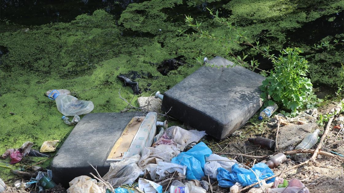 Edirne'de Vatandaşlar Kirlilik Görülen Su Tahliye Kanalının Temizlenmesini İstiyor