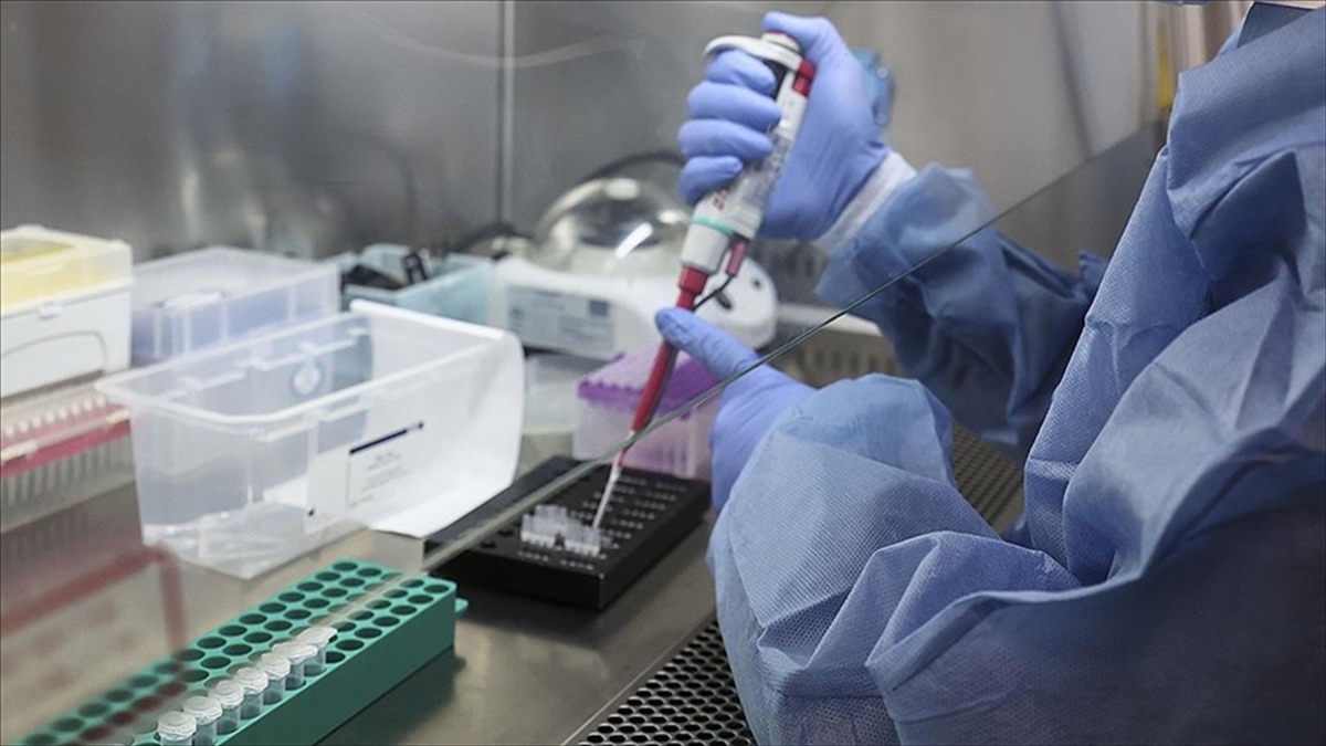 Avrupa'da 166 'gizemli Hepatit' Vakası Tespit Edildi